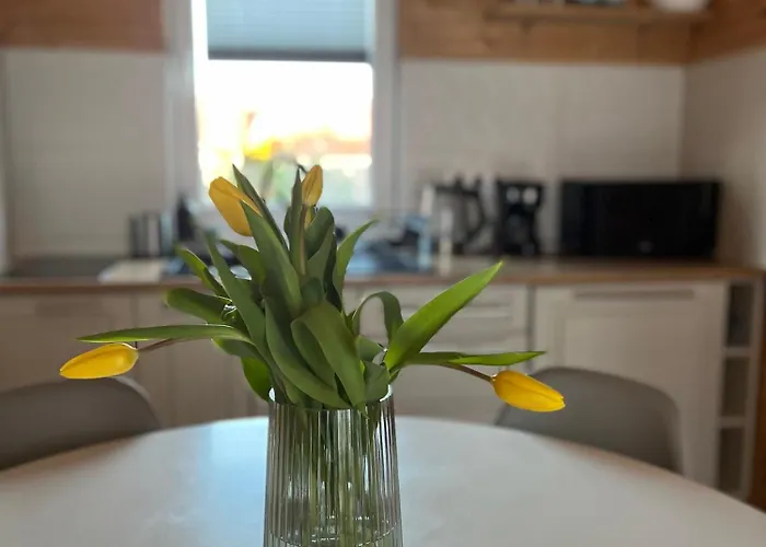 Feriepark Mikroklimat Komfort Jarosławiec